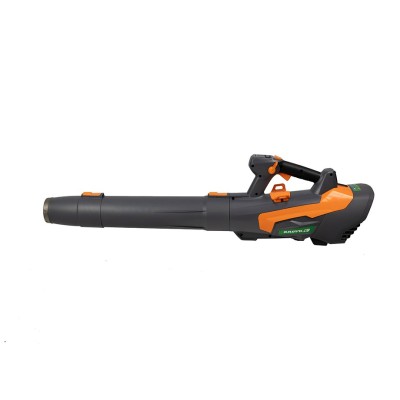 SOPLADOR  BATERÍA 60V ANOVA