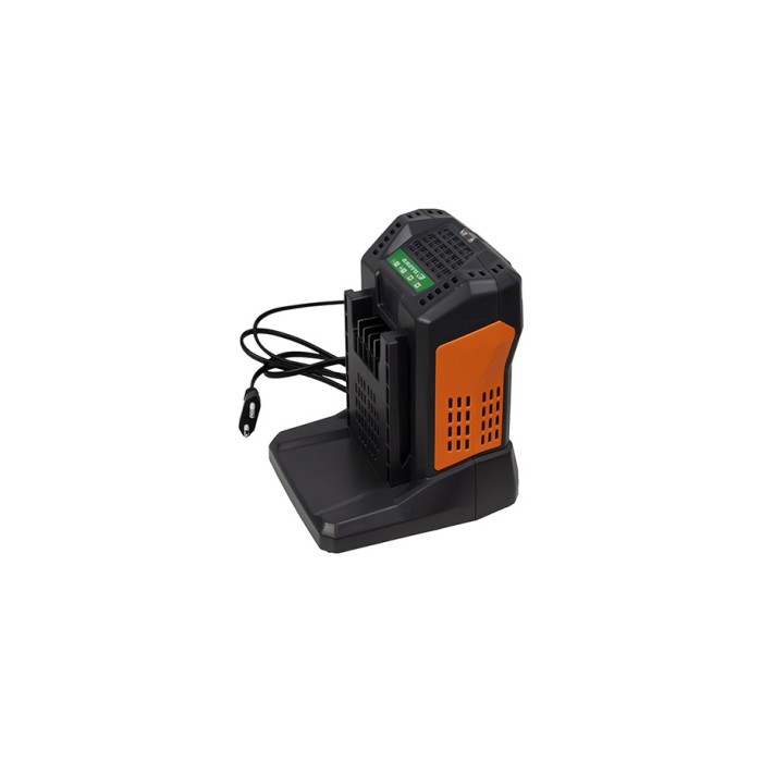 CARGADOR 5,5A  BATERÍA 60V ANOVA