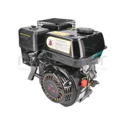 MOTOR COMPLETO 7CV RLT12GVH (49), BIO70 (24)