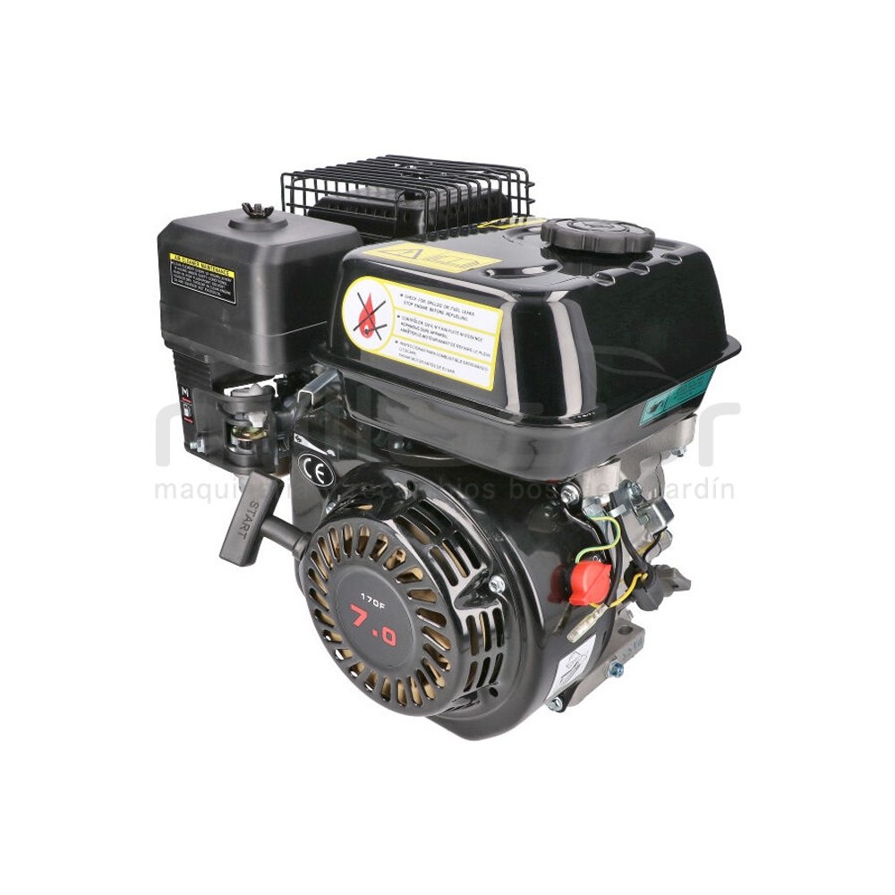MOTOR COMPLETO 7CV RLT12GVH (49), BIO70 (24)