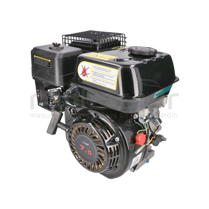 MOTOR COMPLETO 7CV RLT12GVH (49), BIO70 (24)
