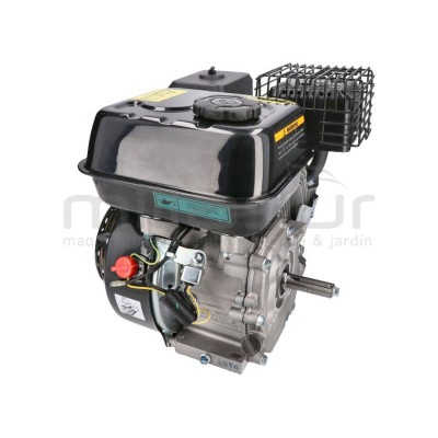 MOTOR COMPLETO 7CV RLT12GVH (49), BIO70 (24)