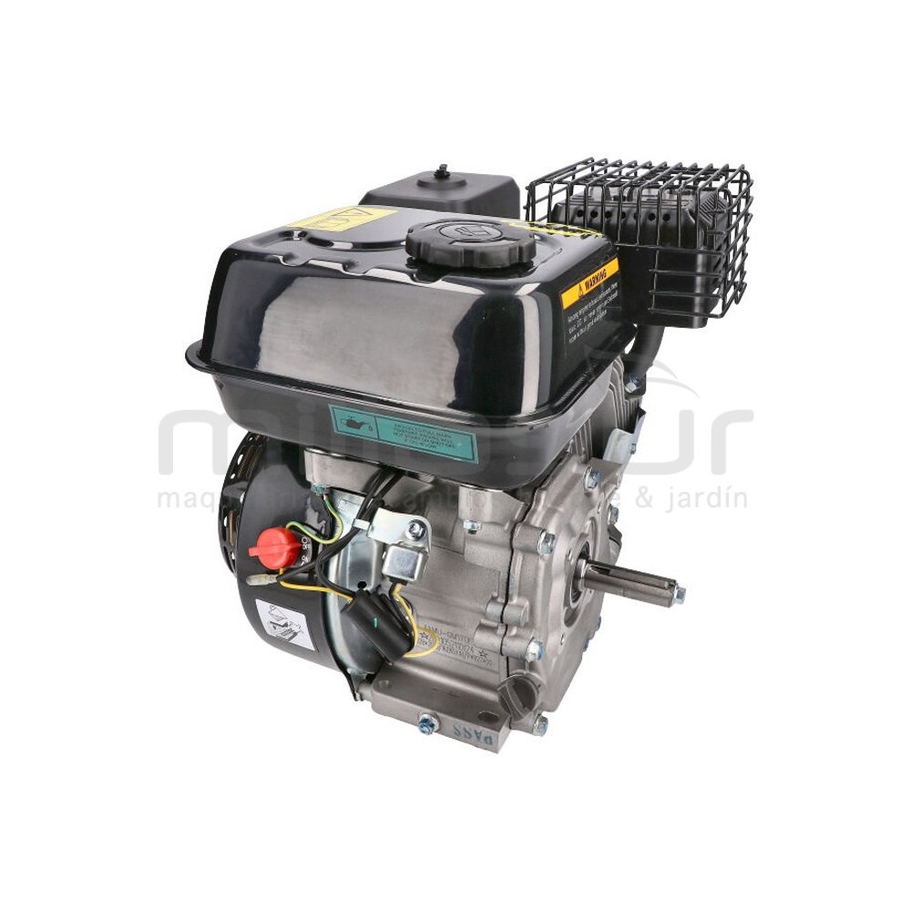 MOTOR COMPLETO 7CV RLT12GVH (49), BIO70 (24)