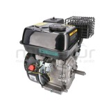 MOTOR COMPLETO 7CV RLT12GVH (49), BIO70 (24)