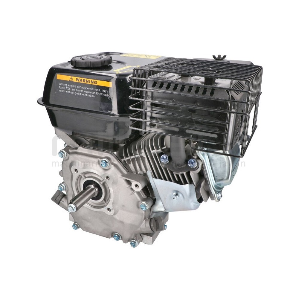 MOTOR COMPLETO 7CV RLT12GVH (49), BIO70 (24)