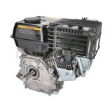 MOTOR COMPLETO 7CV RLT12GVH (49), BIO70 (24)