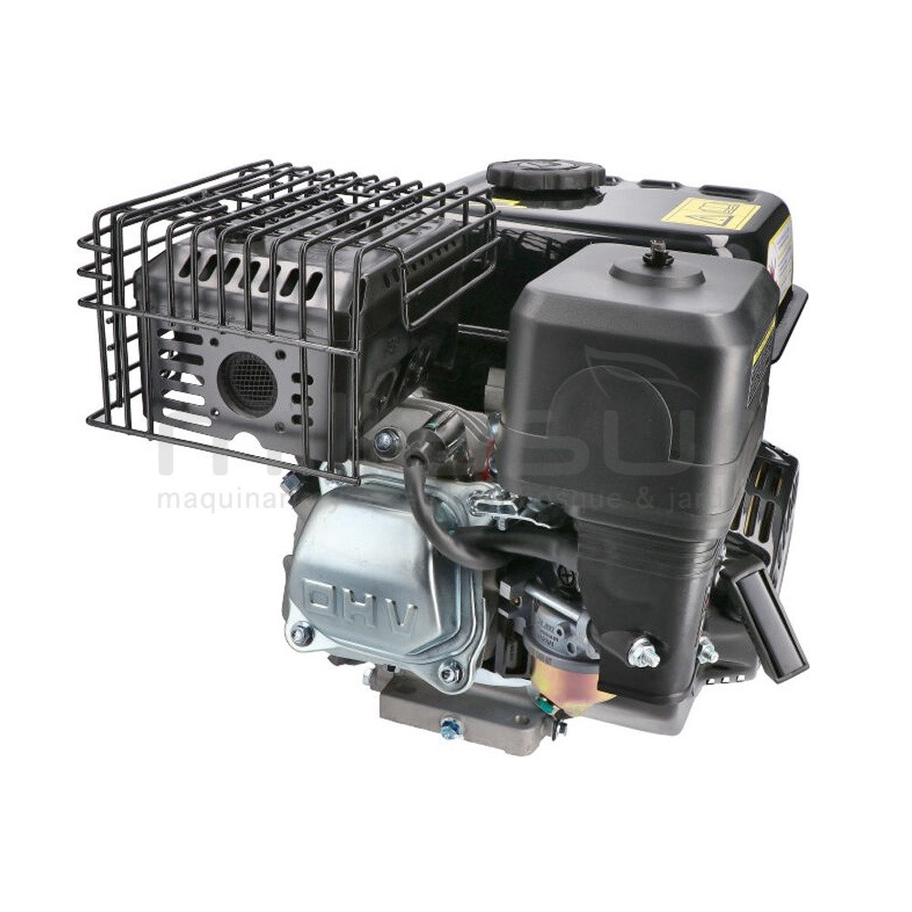 MOTOR COMPLETO 7CV RLT12GVH (49), BIO70 (24)