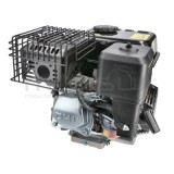 MOTOR COMPLETO 7CV RLT12GVH (49), BIO70 (24)