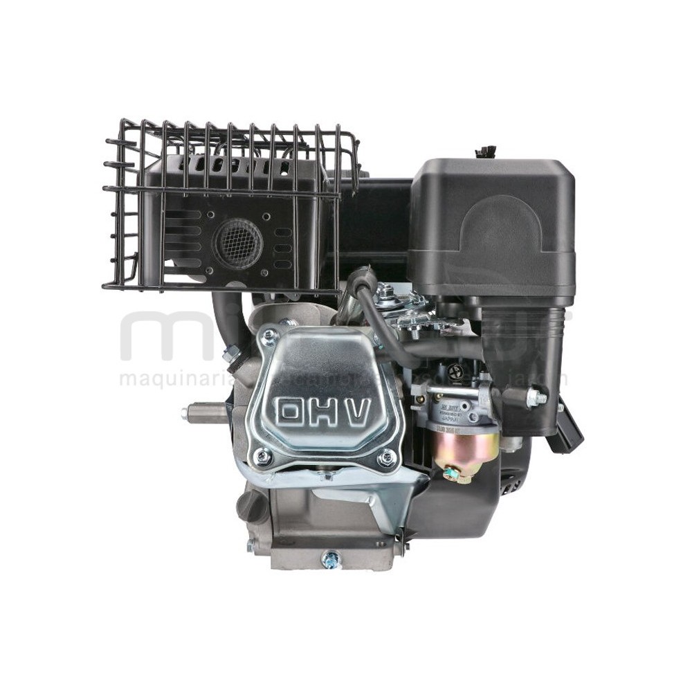 MOTOR COMPLETO 7CV RLT12GVH (49), BIO70 (24)