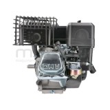 MOTOR COMPLETO 7CV RLT12GVH (49), BIO70 (24)